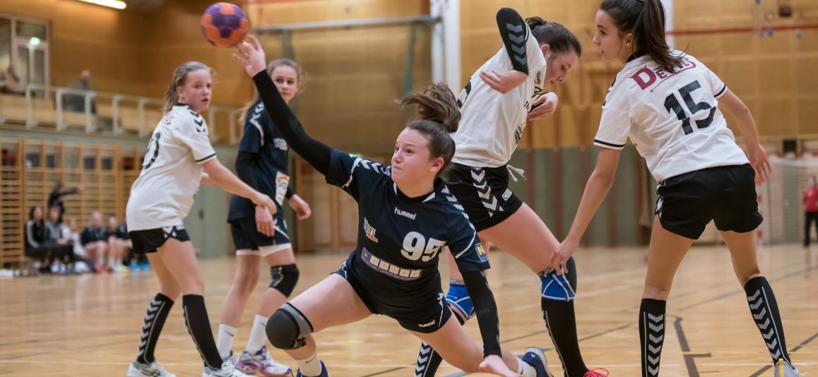 Tolles Spiel der U14 gegen Perchtoldsdorf Tolles Spiel der U14 gegen Perchtoldsdorf