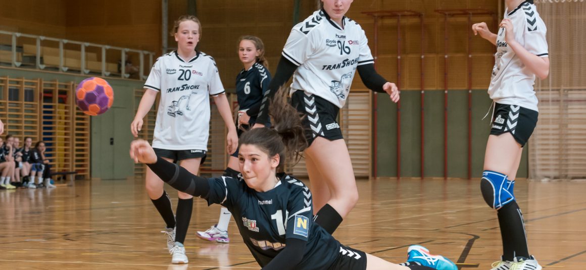 U14 gewinnt Saisonfinale gegen Perchtoldsdorf U14 gewinnt Saisonfinale gegen Perchtoldsdorf
