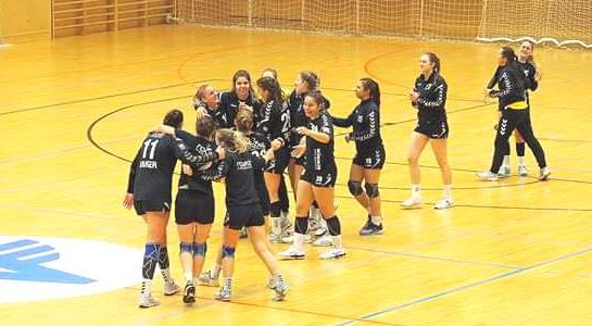 WHA Auswärtssieg gegen Perchtoldsdorf/Vöslau erkämpft WHA Auswärtssieg gegen Perchtoldsdorf/Vöslau erkämpft